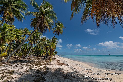 Fakarava and neighboring islands