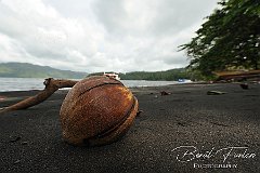 AWA02172