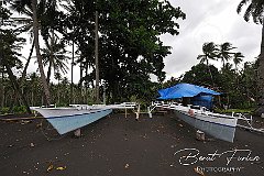 AWA02184