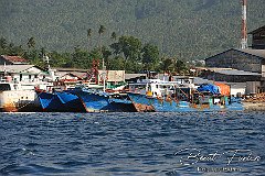 AWA02195