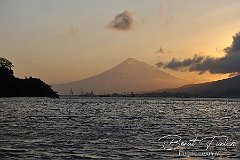 AWA02229
