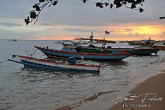 AWA02313