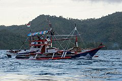 AWA04462