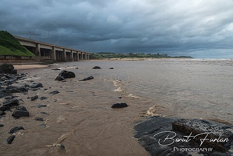 AWA06670