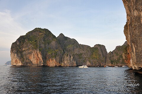 AWA02386