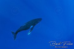 Eua, Tonga, July 2025