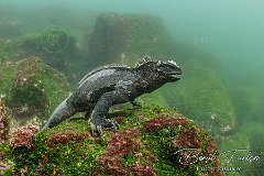 Galapagos islands, Ecuador, June 2024
