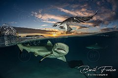 Moorea, French Polynesia, July 2025