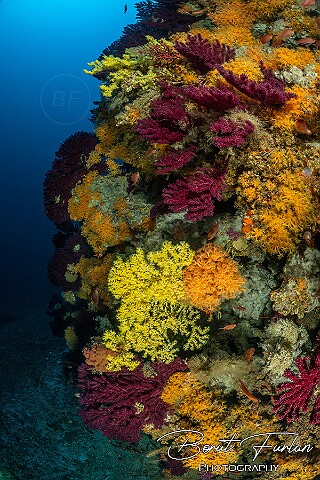 UWM09280