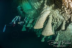 UWF00718