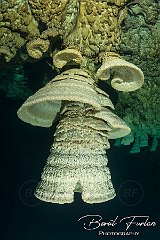 UWF00729