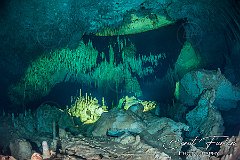 UWF00764