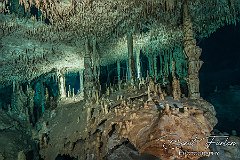 UWF00794X