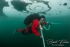 UWF00409