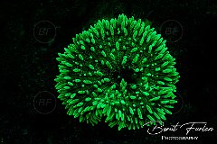 UWX01151