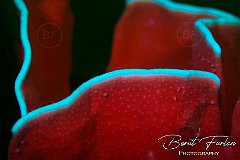 UWX01203