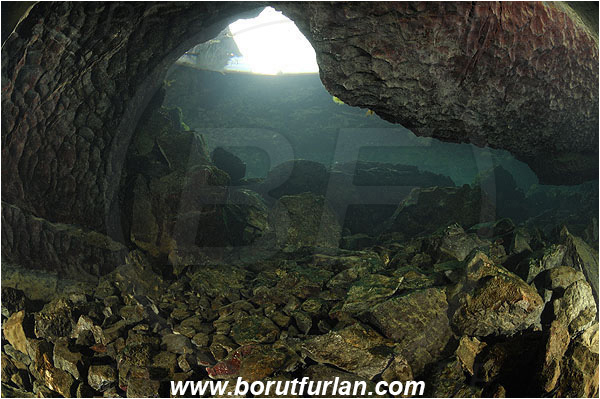 Cave, Zerovnica, Cerknica, Slovenia