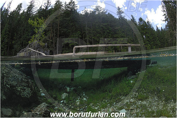 Gruener See, Tragoss, Austria, Lake, Bridge, Split-shot, Over-under