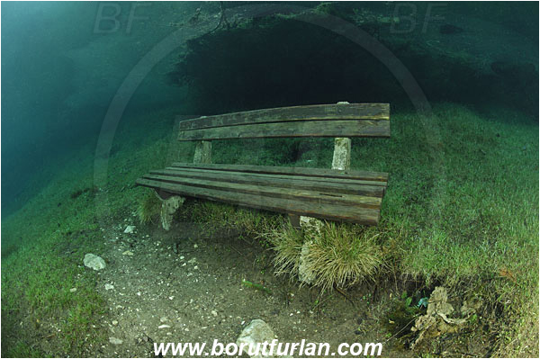 Lake, Gruener See, Tragoss, Austria, Bench, Grass