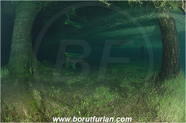 Lake, Gruener See, Tragoss, Austria, Tree, Bench
