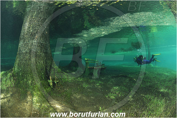 Lake, Gruener See, Tragoss, Austria, Diver, Tree, Bench