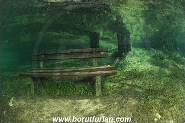 Lake, Gruener See, Tragoss, Austria, Bench, Diver