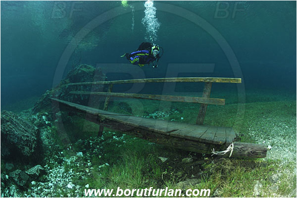 Lake, Gruener See, Tragoss, Austria, Bridge, Diver