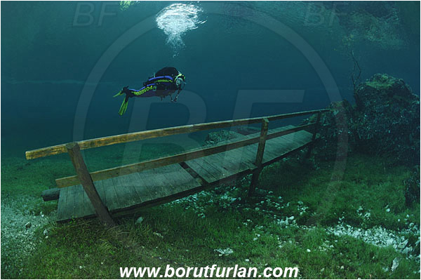 Lake, Gruener See, Tragoss, Austria, Bridge, Diver