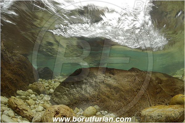 River, Soca, Slovenia, Rock, River rapids