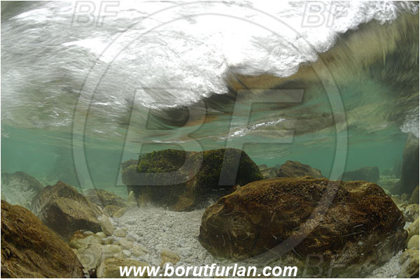 River, Soca, Slovenia, Rock, River rapids