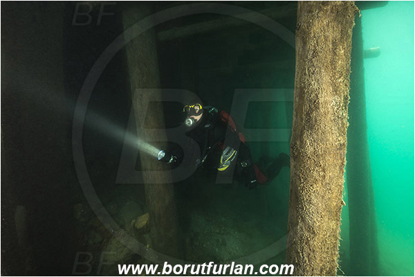 Lake, Bled, Slovenia, Diver