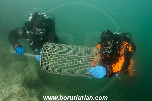 Lake, Bled, Slovenia, Diver, Garbage, Cleaning action