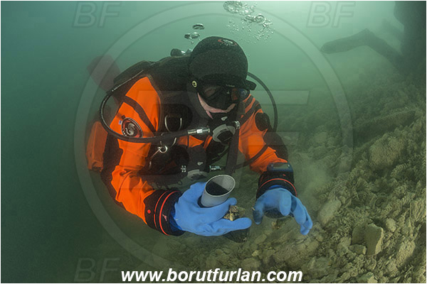 Lake, Bled, Slovenia, Diver, Garbage, Cleaning action