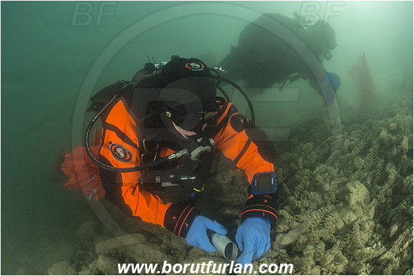 Lake, Bled, Slovenia, Diver, Garbage, Cleaning action