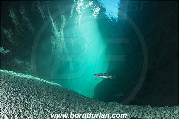 River, Soca, Slovenia, Fish, Rocks, Light rays, Canyon