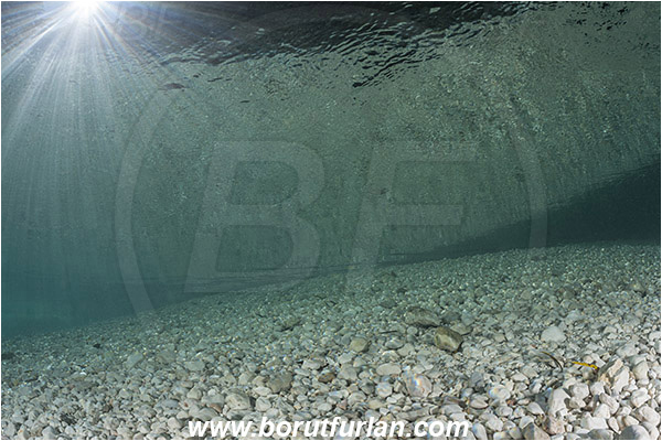 River, Soca, Slovenia, Fish, Stones, Light rays