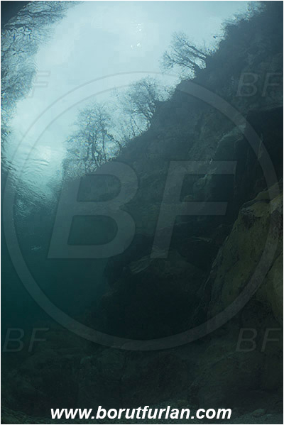 River, Soca, Slovenia, Lathe, Rocks, Trees