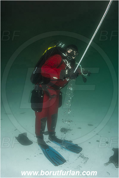 Lake, Murska Sobota, Slovenia, Ice diving, Diver, Up-side-down