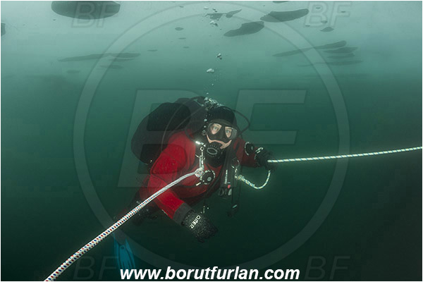Lake, Murska Sobota, Slovenia, Ice diving, Diver