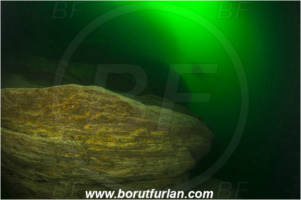 River, Idrijca, Slovenia, Rock, Diver