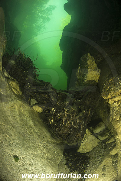 River, Sava Bohinjka, Slovenia, Rock, Branch, Canyon