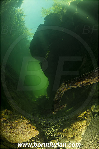 River, Sava Bohinjka, Slovenia, Rock, Branch, Canyon