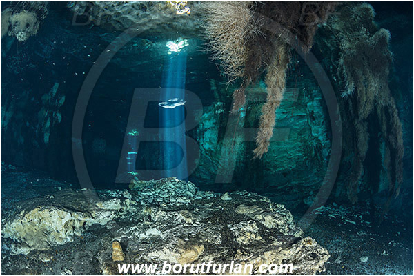 Cave, Domde estamos? (La Gloria), Cenotes, Tulum, Yucatan, Mexico, Light ray, Roots