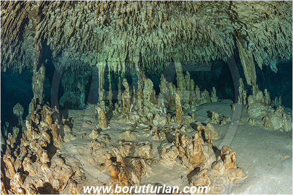 Cave, Domde estamos? (La Gloria), Cenotes, Tulum, Yucatan, Mexico, Stalactite
