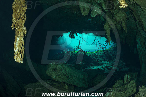 Cave, Aktun Ha (Car wash), Cenotes, Tulum, Yucatan, Mexico, Entrance, Stalactite