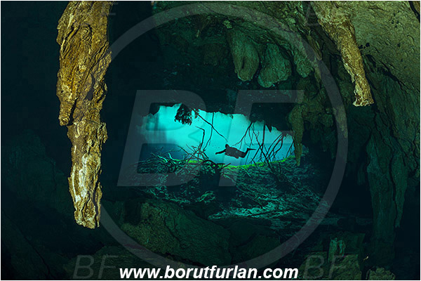 Cave, Aktun Ha (Car wash), Cenotes, Tulum, Yucatan, Mexico, Entrance, Stalactite, Diver