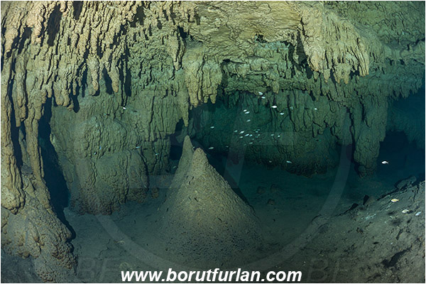 Cave, Takbeluum, Cenotes, Tulum, Yucatan, Mexico, Stalactite