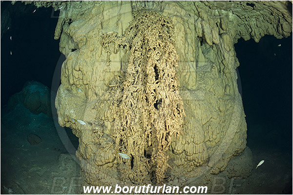 Cave, Takbeluum, Cenotes, Tulum, Yucatan, Mexico, Stalactite