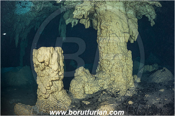 Cave, Takbeluum, Cenotes, Tulum, Yucatan, Mexico, Stalactite