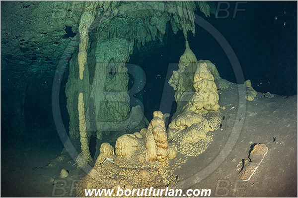 Cave, Takbeluum, Cenotes, Tulum, Yucatan, Mexico, Stalactite